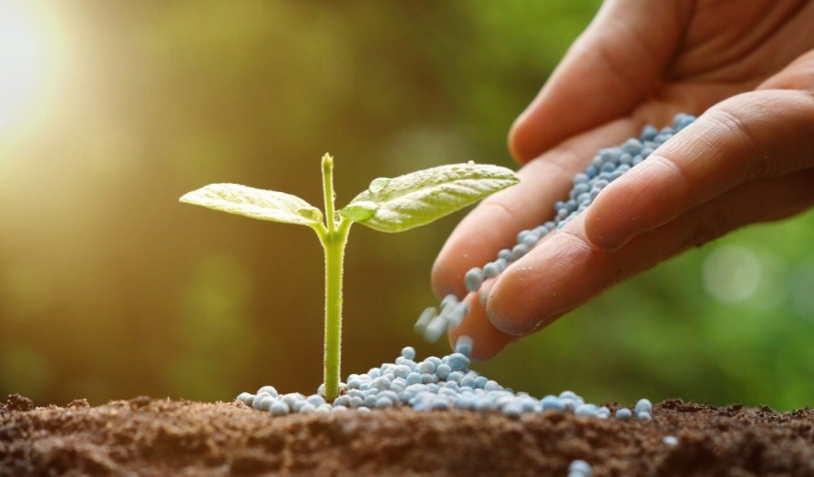 El gobierno argentino elimina aranceles para fertilizantes y los reduce en herbicidas
