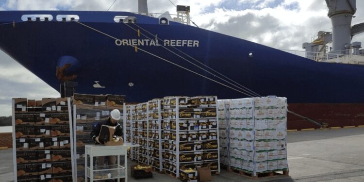 Se abrió la temporada de exportación de fruta fresca, con el primer embarque rumbo a Rusia