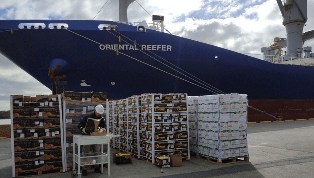 Se abrió la temporada de exportación de fruta fresca, con el primer embarque rumbo a Rusia