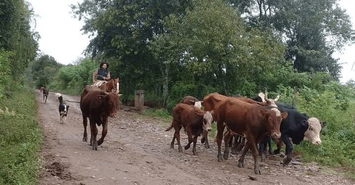 CRA salió al cruce de la UATRE por la reforma laboral: “Para nada lesiona derechos de los trabajadores”