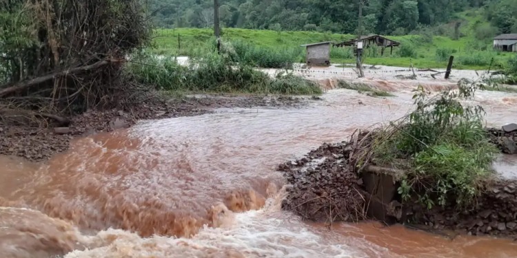 Sigue subiendo el precio del trigo por el desastre climático y humanitario registrado en Brasil