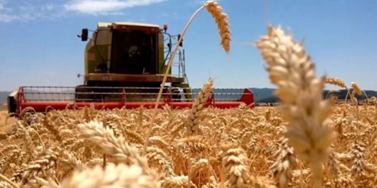 «Vamos a tener un invierno con temperaturas y precipitaciones normales»