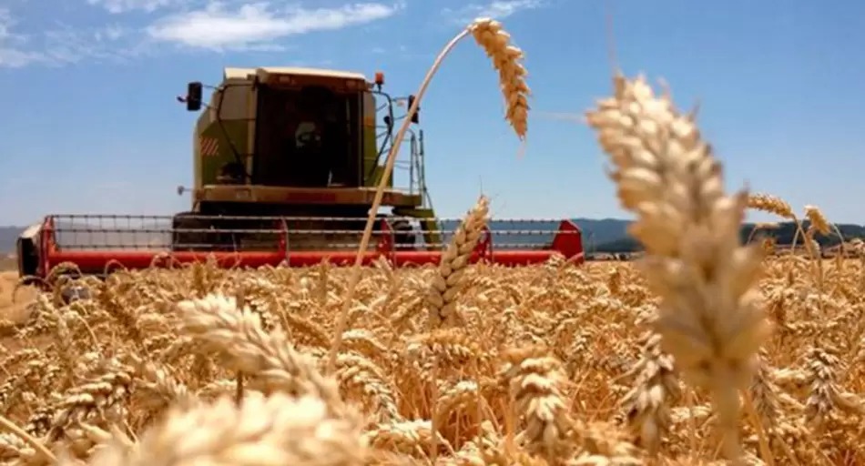 «Vamos a tener un invierno con temperaturas y precipitaciones normales»