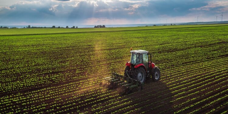 Estiman que el agro será uno de los mayores beneficiados si se activan los créditos bancarios