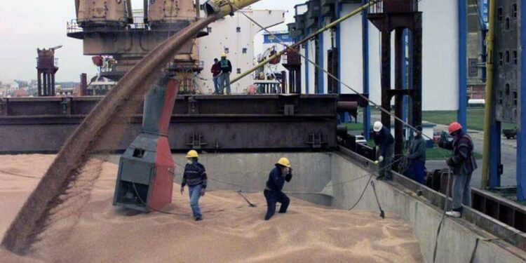 El desafío de la sustentabilidad: la soja argentina es la más vulnerable a las regulaciones de Europa