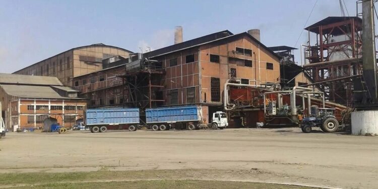 Tres ingenios están en plena molienda en Tucumán