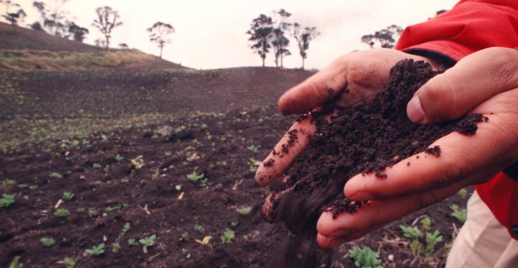 Robinson analizó las perspectivas económicas para el sector agropecuario argentino