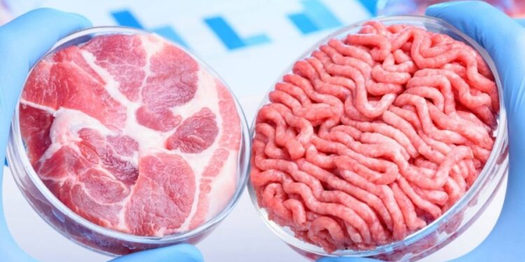 Un Estado de EE.UU declara ilegal la carne cultivada