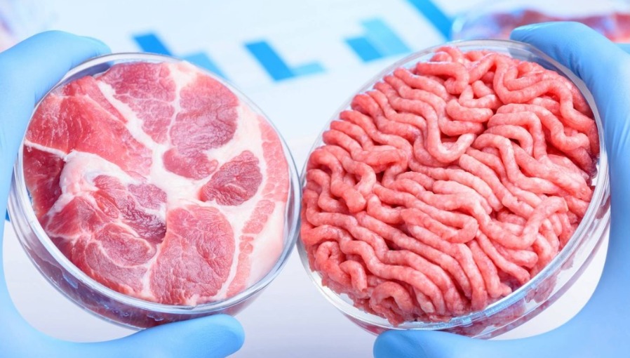 Un Estado de EE.UU declara ilegal la carne cultivada