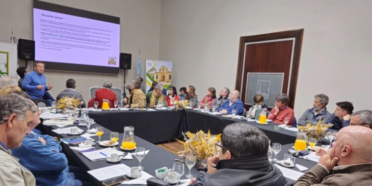 «Chicharrita del maíz»: nueva reunión del NOA y pedido de Emergencia
