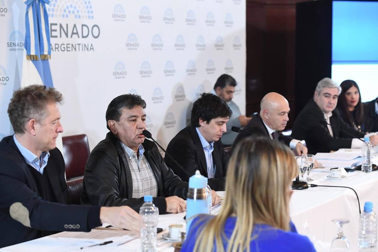 Ley Bases: con duras críticas, la UATRE ratificó en el Senado su rechazo a la reforma laboral