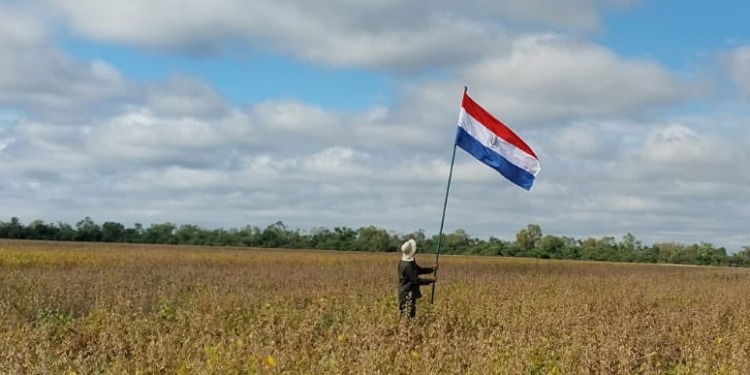 Deforestación: Entidades agroexportadoras paraguayas trabajarán con sus pares argentinas para poder cumplir con la normativa europea