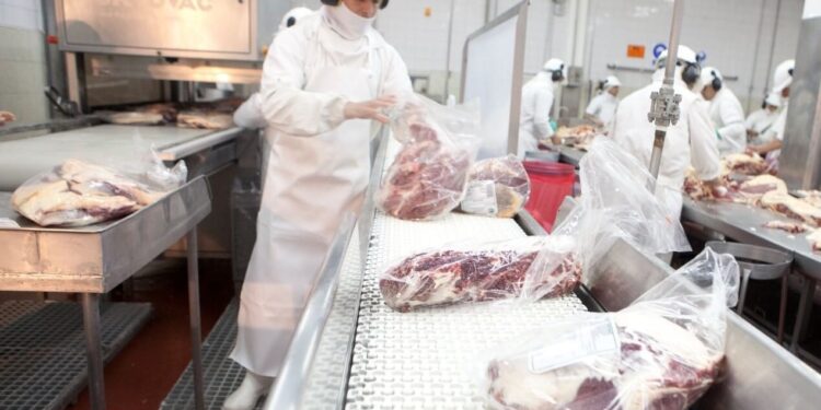 Exportaciones de carne: en abril aparecieron varios signos de alerta