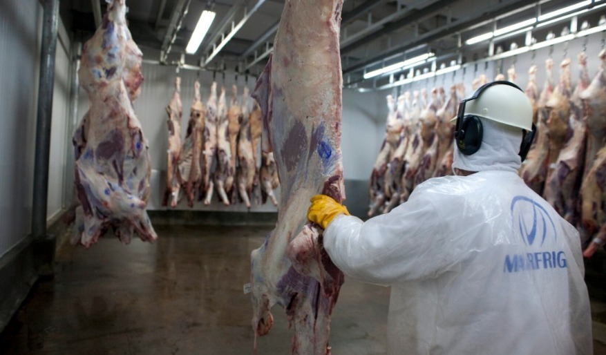 Marfrig vuelve a los números positivos y prevé un aumento en los precios del ganado en EEUU