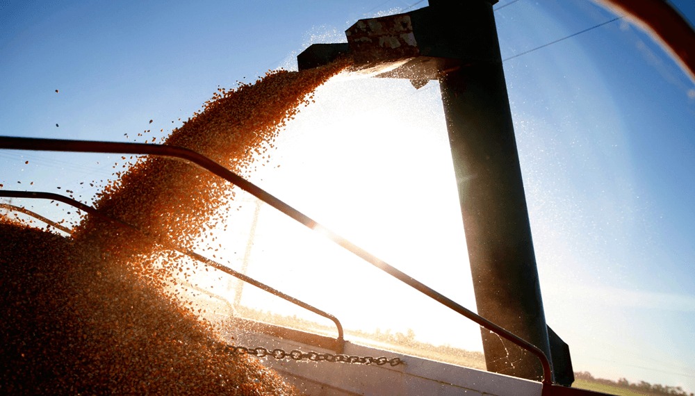 Una noticia que genera ilusión en la cadena agroindustrial