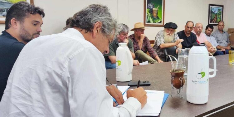 Yerba mate: reclamos de productores ante el gobierno nacional