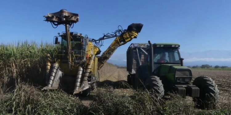 Una meta de la superzafra es exportar unas 650.000 tn de azúcar