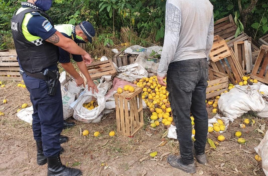 En Tucumán la mayor plaga del limón y la palta son los delitos rurales