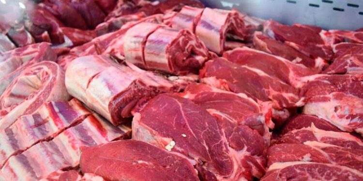 «Vemos que hay futuro, queremos producir un poco más de carne»