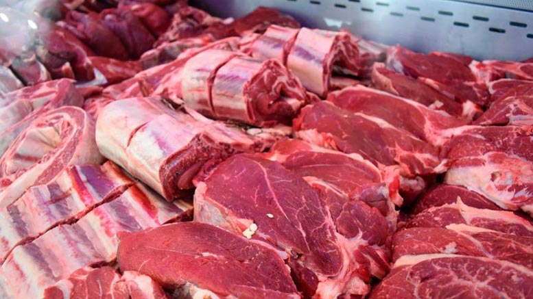 «Vemos que hay futuro, queremos producir un poco más de carne»
