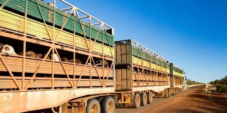 Modifican exigencias para el transporte de animales vivos