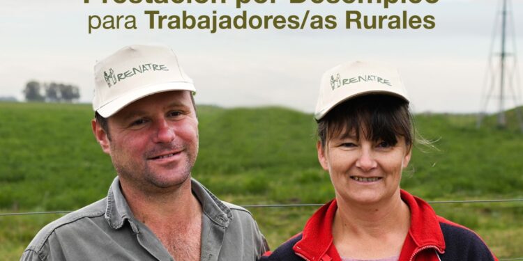El Renatre aumentó la prestación por desempleo y asciende el monto máximo a $120.000