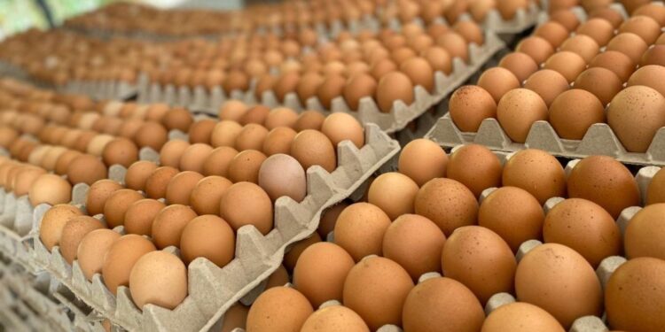 Después de un año, se reactivan las exportaciones de carne aviar y huevos a Chile