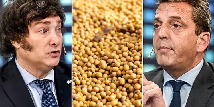 “Dar una señal”: expectativas para que el gobierno de Milei le ponga fin a un cepo a productores de soja
