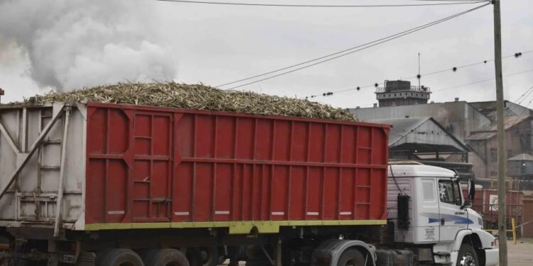 Tucumán: por la intervención del gobernador Jaldo, la Fotia levantó el paro