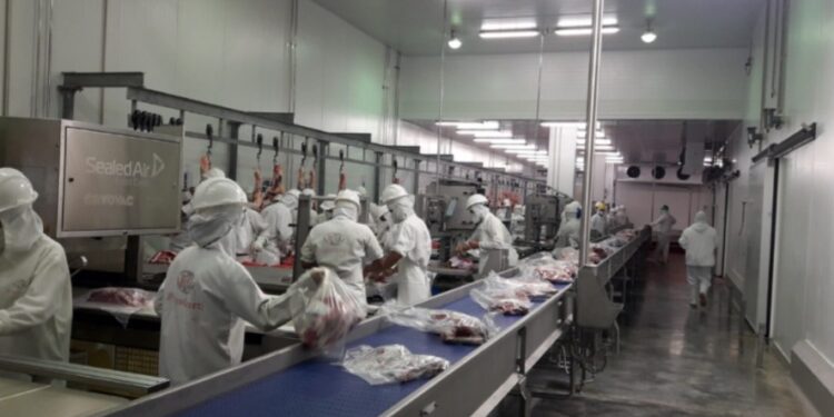 Paraguay hace punta: primer contenedor de carne bovina a Canadá saldrá este viernes