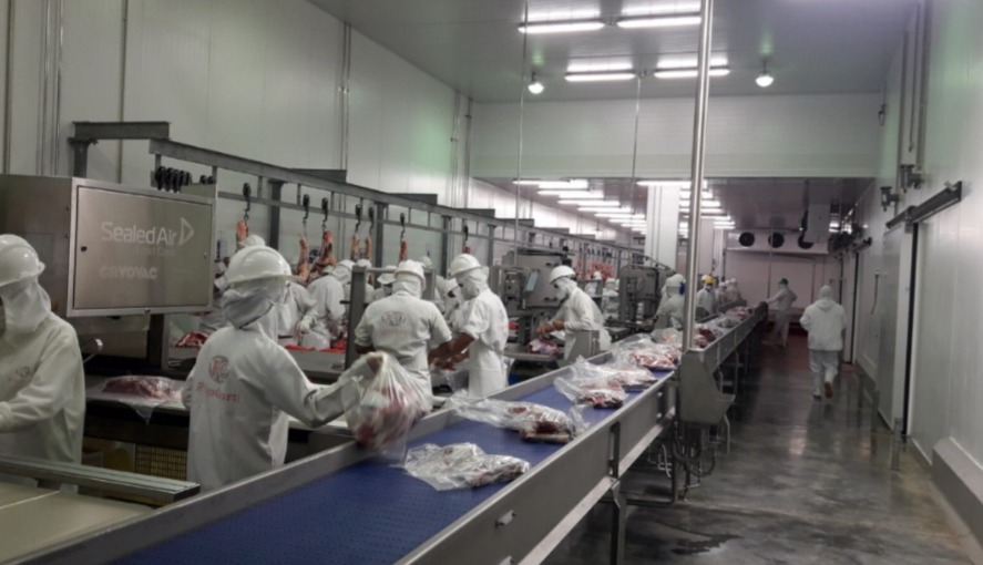 Paraguay hace punta: primer contenedor de carne bovina a Canadá saldrá este viernes