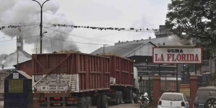 Paritaria azucarera: la Fotia decidió retomar el paro