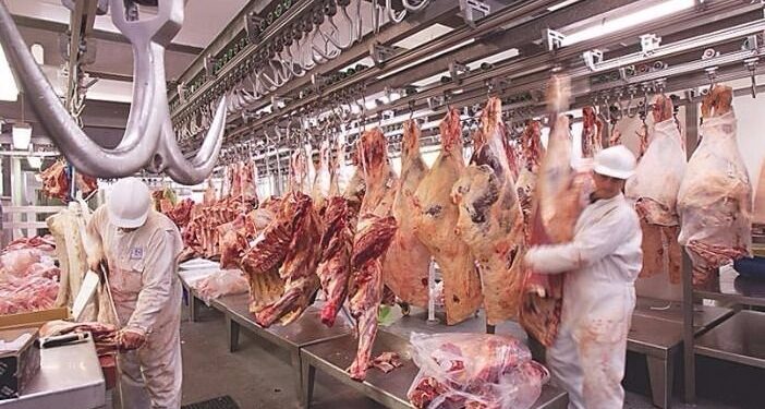 La producción de carne vacuna aumenta mes a mes pero cae respecto a 2023