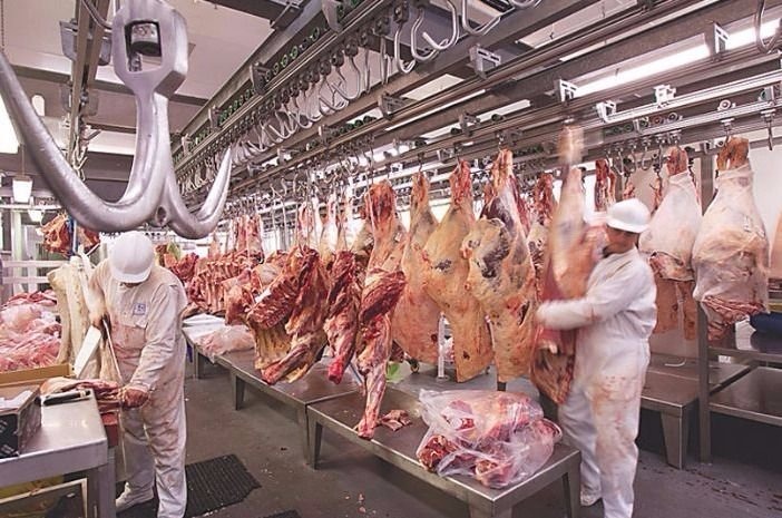 La producción de carne vacuna aumenta mes a mes pero cae respecto a 2023