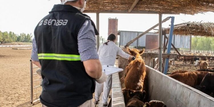 De enero a abril el país exportó 789.000 t de productos animales
