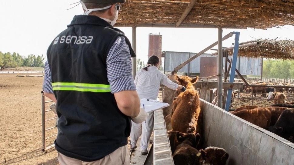 De enero a abril el país exportó 789.000 t de productos animales