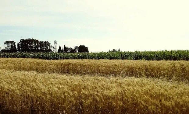 La Niña llegaría en primavera, pero sería débil: la importancia de mantener las reservas de humedad