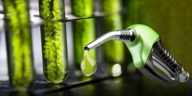 Economía Circular: Tucumán desarrollará biocombustibles para transporte aéreo, fluvial y marítimo