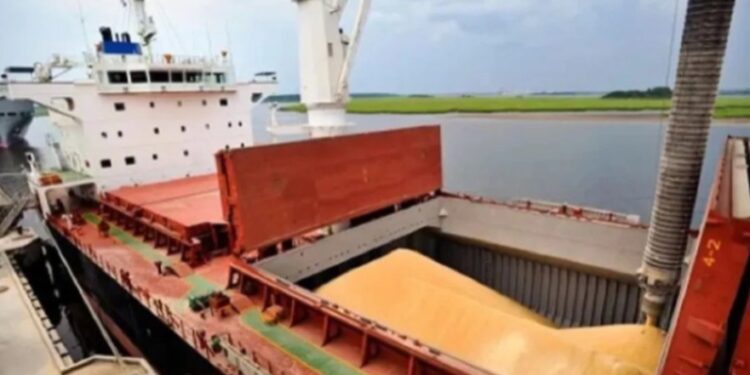 la agroindustria lleva ingresado más de 18 mil millones de dólares en 2024