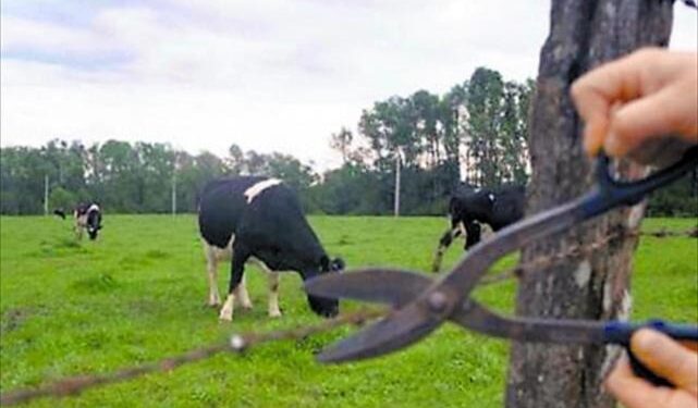 Inseguridad rural: continúan los robos en Santa Fe