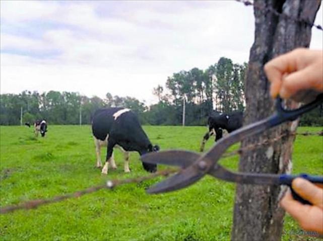 Inseguridad rural: continúan los robos en Santa Fe