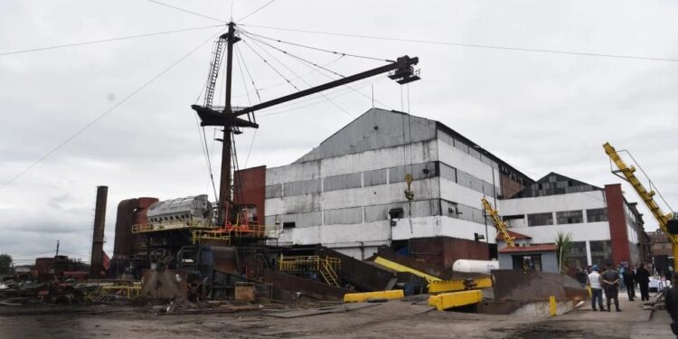 La superzafra se generalizó y registra un avance del 14,3%