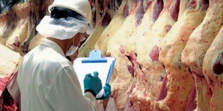 Continúa complicado el cierre de negocios Mercosur-China