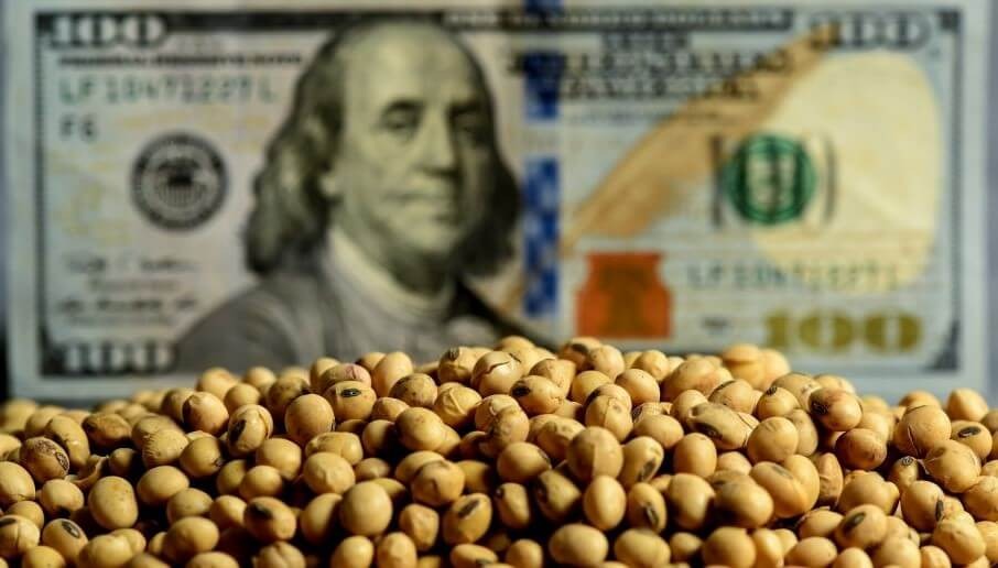 Preocupación: la liquidación de divisas no levanta cabeza