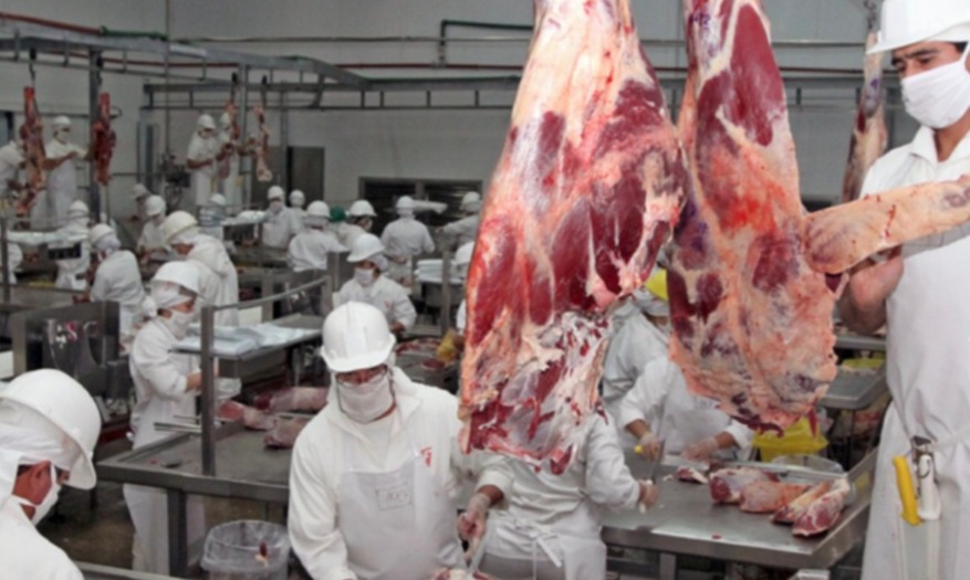 Comercio de carne Mercosur-China más fluido en las últimas dos semanas