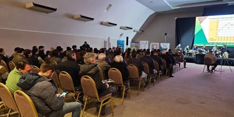 El rendimiento medio de soja en Tucumán alcanzó las 3,1 toneladas por hectárea