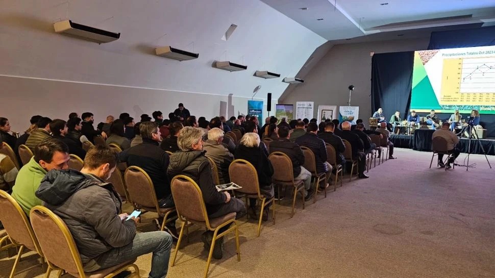 El rendimiento medio de soja en Tucumán alcanzó las 3,1 toneladas por hectárea