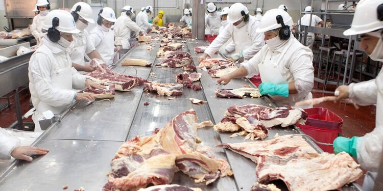 Crece la expectativa ganadera y frigorífica tras un reajuste en las estimaciones del USDA