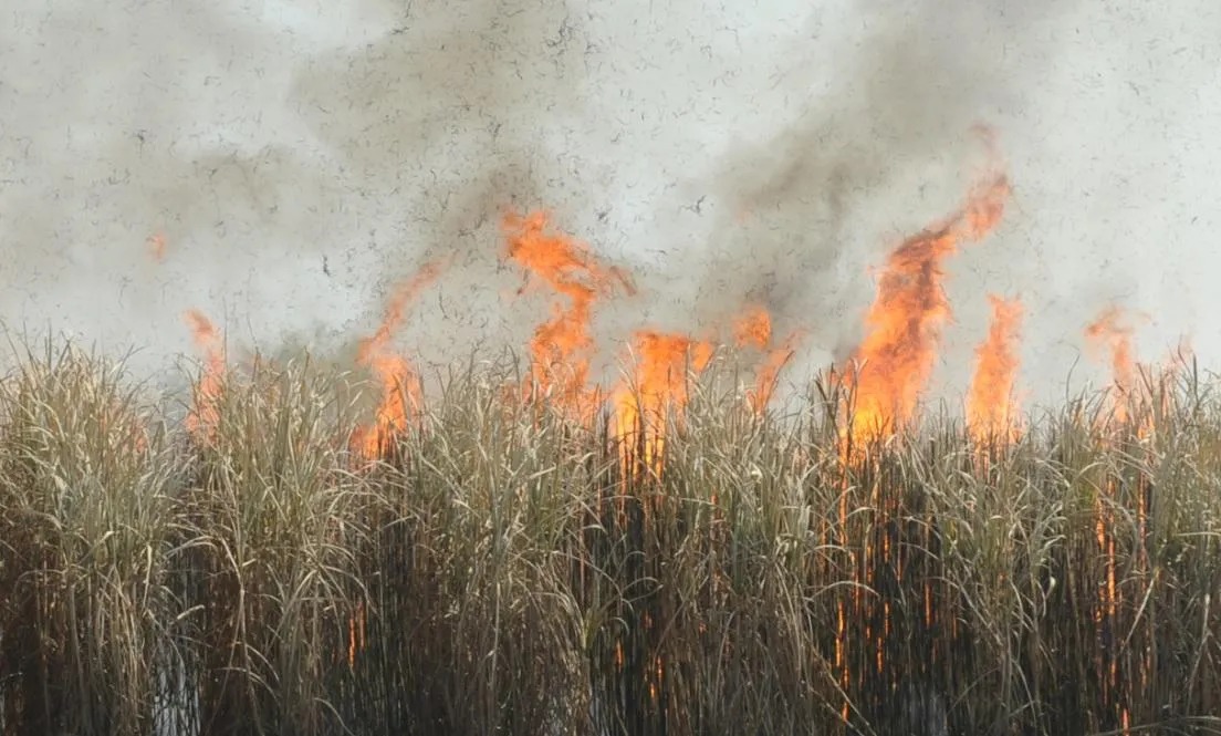 Preocupación por los incendios en el sur tucumano