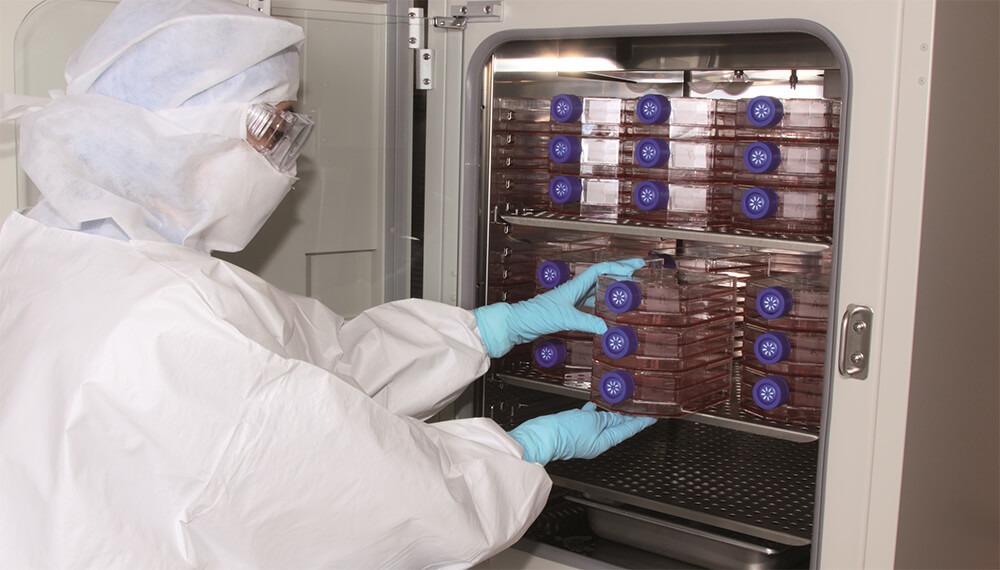 Reino Unido autorizó la venta de la carne cultivada